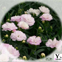 Cg~N`F[ 